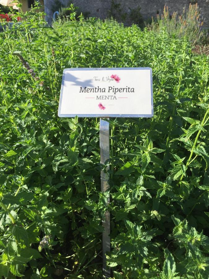 Willa Fiori&Vigne Di Cecilia Marcon Farra di Soligo Zewnętrze zdjęcie