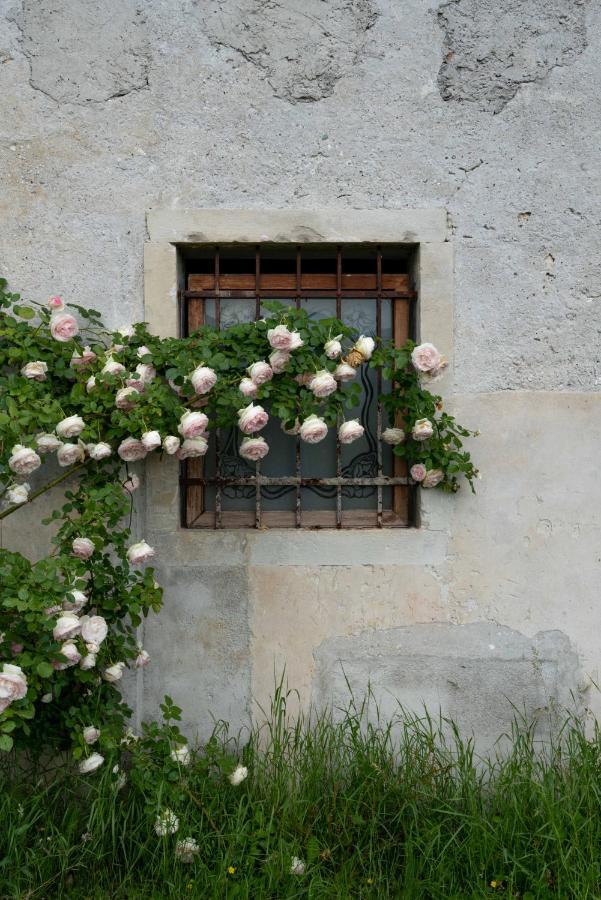 Willa Fiori&Vigne Di Cecilia Marcon Farra di Soligo Zewnętrze zdjęcie